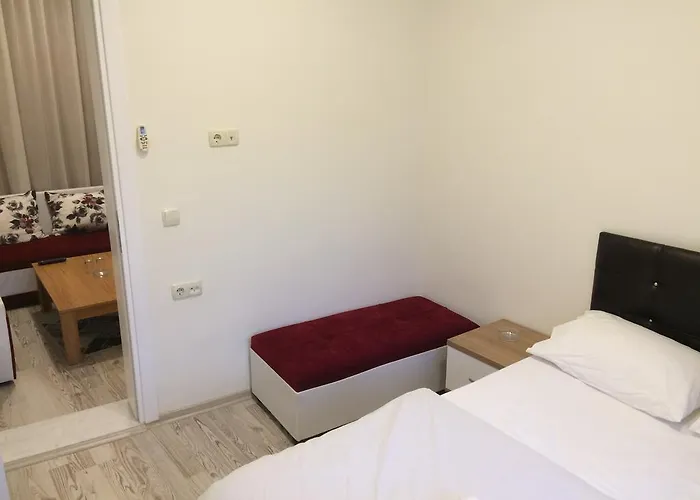 Eli̇t Pansi̇yon 3* Aydın